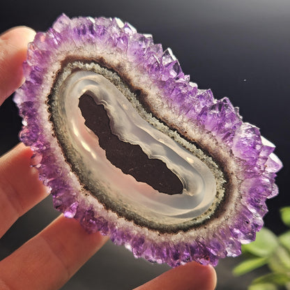 AAA Uruguay Amethyst Stalactite Slice (75 x 55mm)