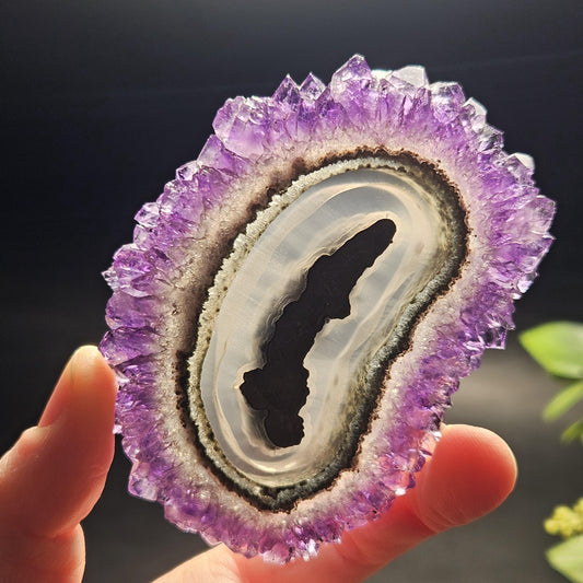 AAA Uruguay Amethyst Stalactite Slice (75 x 55mm)