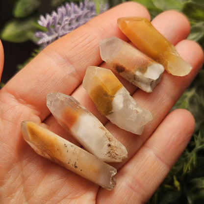 Angel Phantom Quartz, Raw Brazilian Amphibole Crystal Point, Choose Your Size