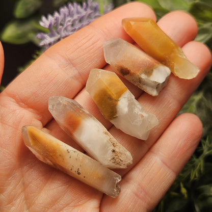 Amphibole Angel Phantom Quartz, Raw Brazilian Crystal Point, Amphibole Crystals