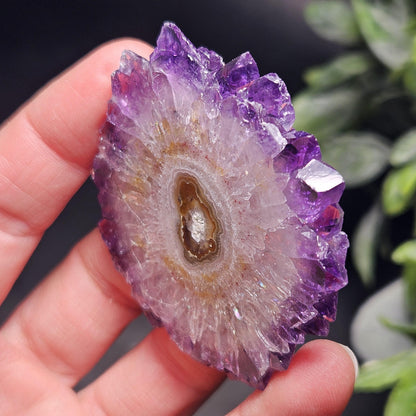 Uruguay Amethyst Stalactite Slice (55 x 55mm)