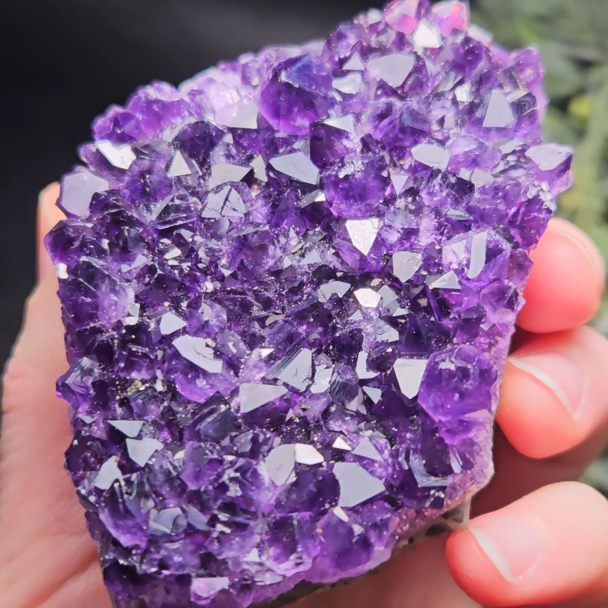 AAA Uruguay Amethyst Stalactite Cluster 218g