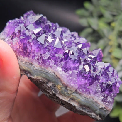AAA Uruguay Amethyst Stalactite Cluster 218g
