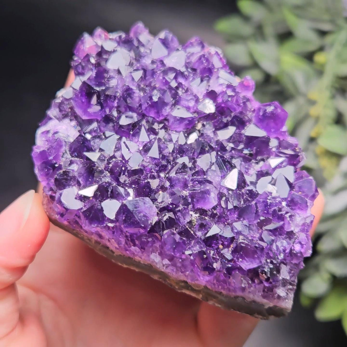 AAA Uruguay Amethyst Stalactite Cluster 218g