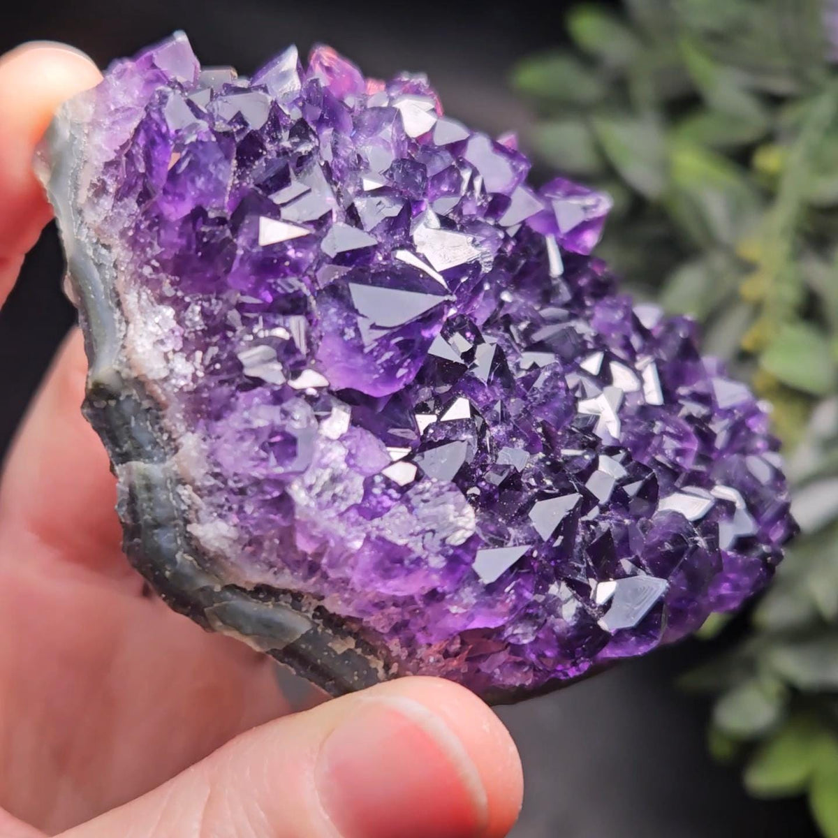 AAA Uruguay Amethyst Stalactite Cluster 218g