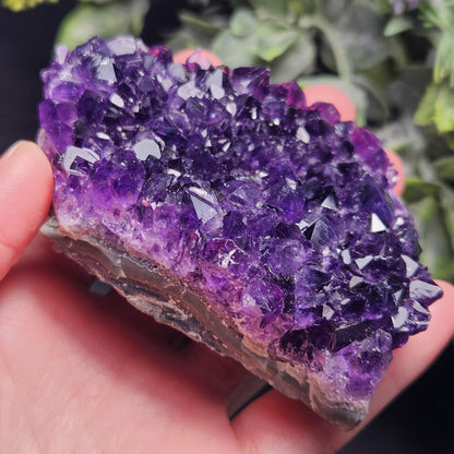 AAA Uruguay Amethyst Stalactite Cluster 218g