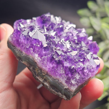 AAA Uruguay Amethyst Stalactite Cluster 218g