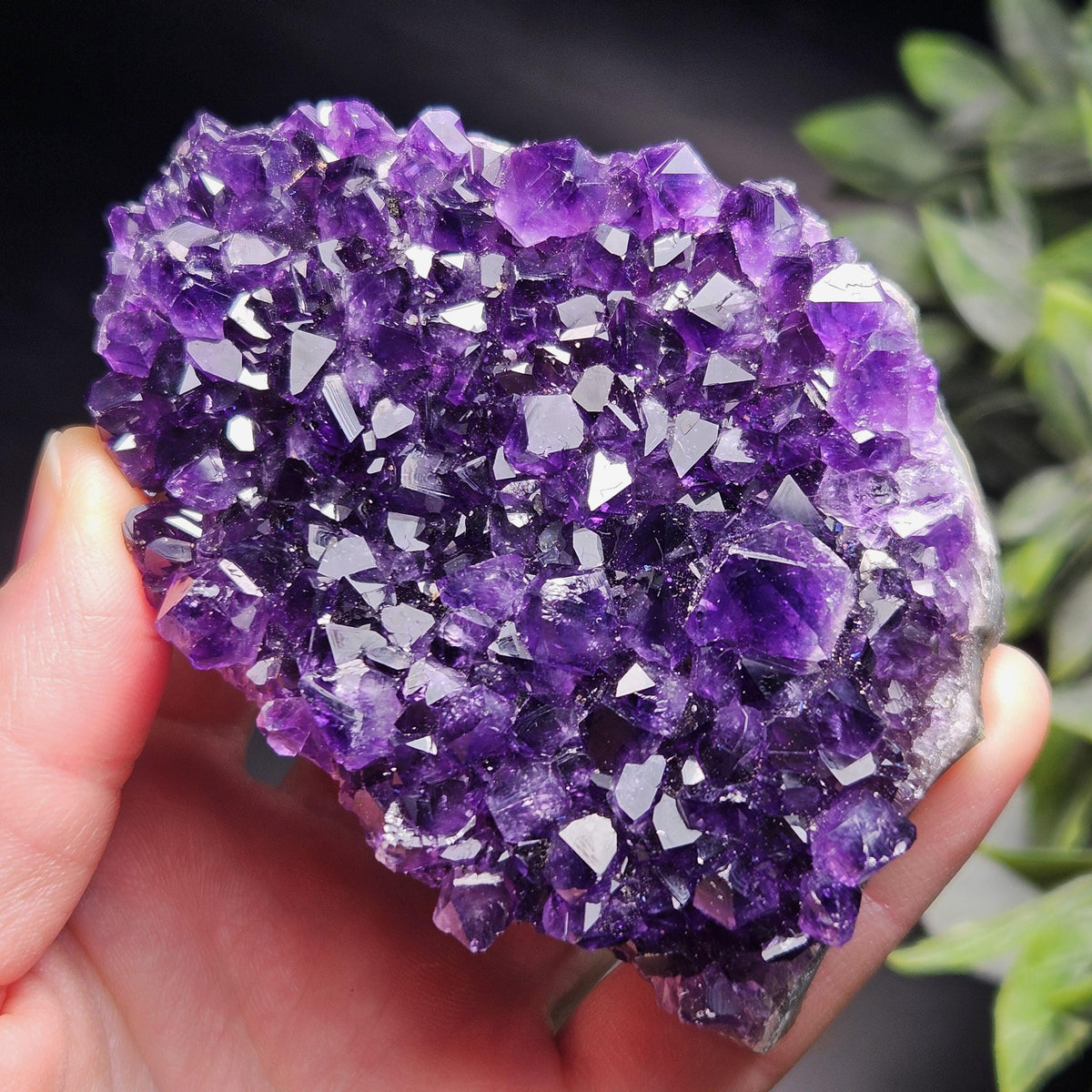 AAA Uruguay Amethyst Stalactite Cluster 218g