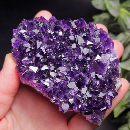 AAA Uruguay Amethyst Stalactite Cluster 218g
