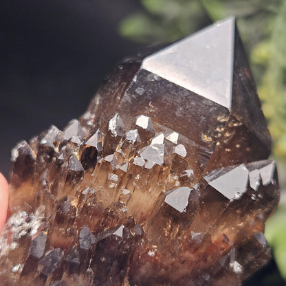 Kundalini Congo Citrine Quartz Cluster 204g, Smoky Citrine Crystal Multi