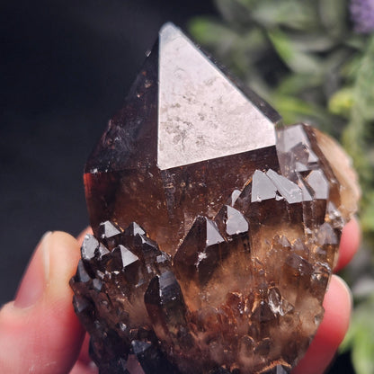 Kundalini Congo Citrine Quartz Cluster 204g, Smoky Citrine Crystal Multi