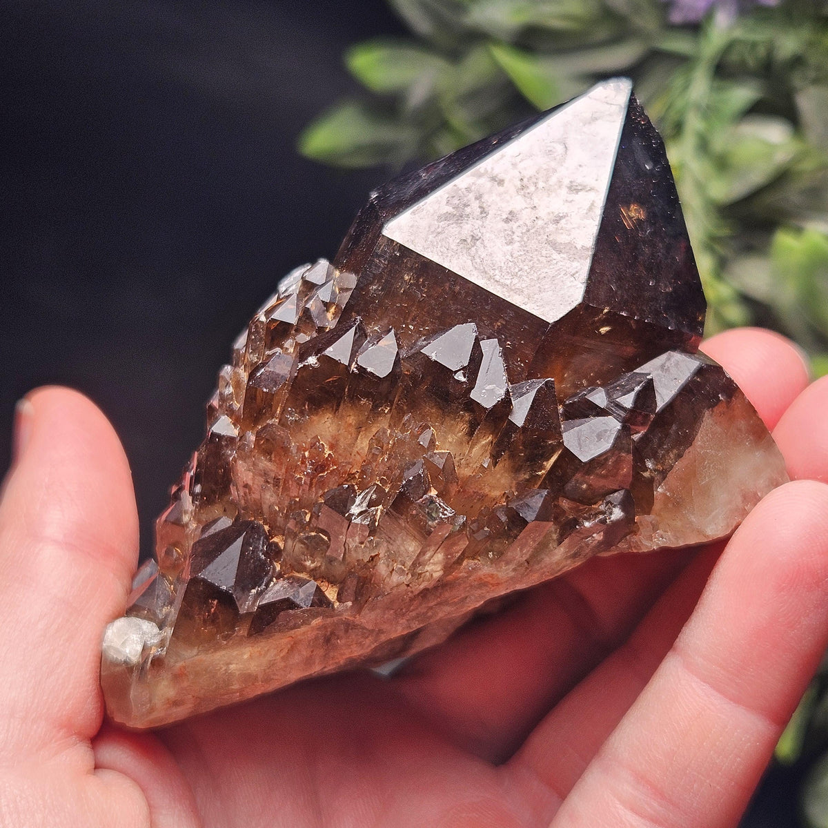 Kundalini Congo Citrine Quartz Cluster 204g, Smoky Citrine Crystal Multi