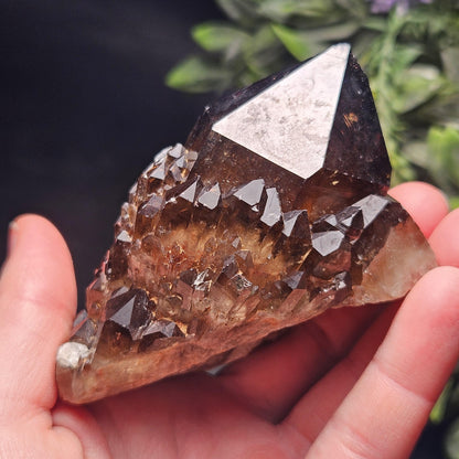 Kundalini Congo Citrine Quartz Cluster 204g, Smoky Citrine Crystal Multi