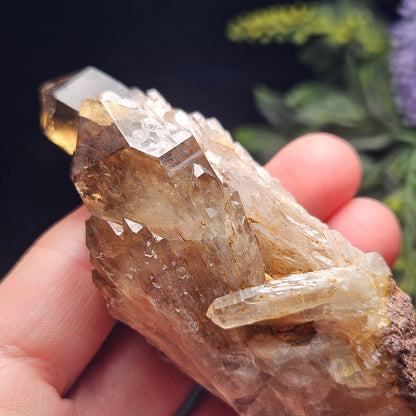 Kundalini Congo Citrine Quartz Cluster 93.58g, Smoky Citrine Crystal