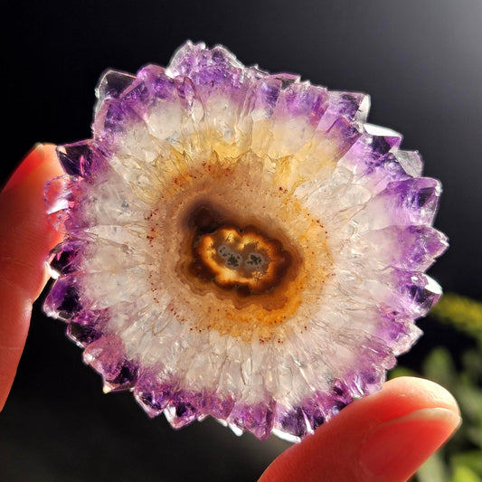 Uruguay Amethyst Stalactite Slice (52 x 50mm)