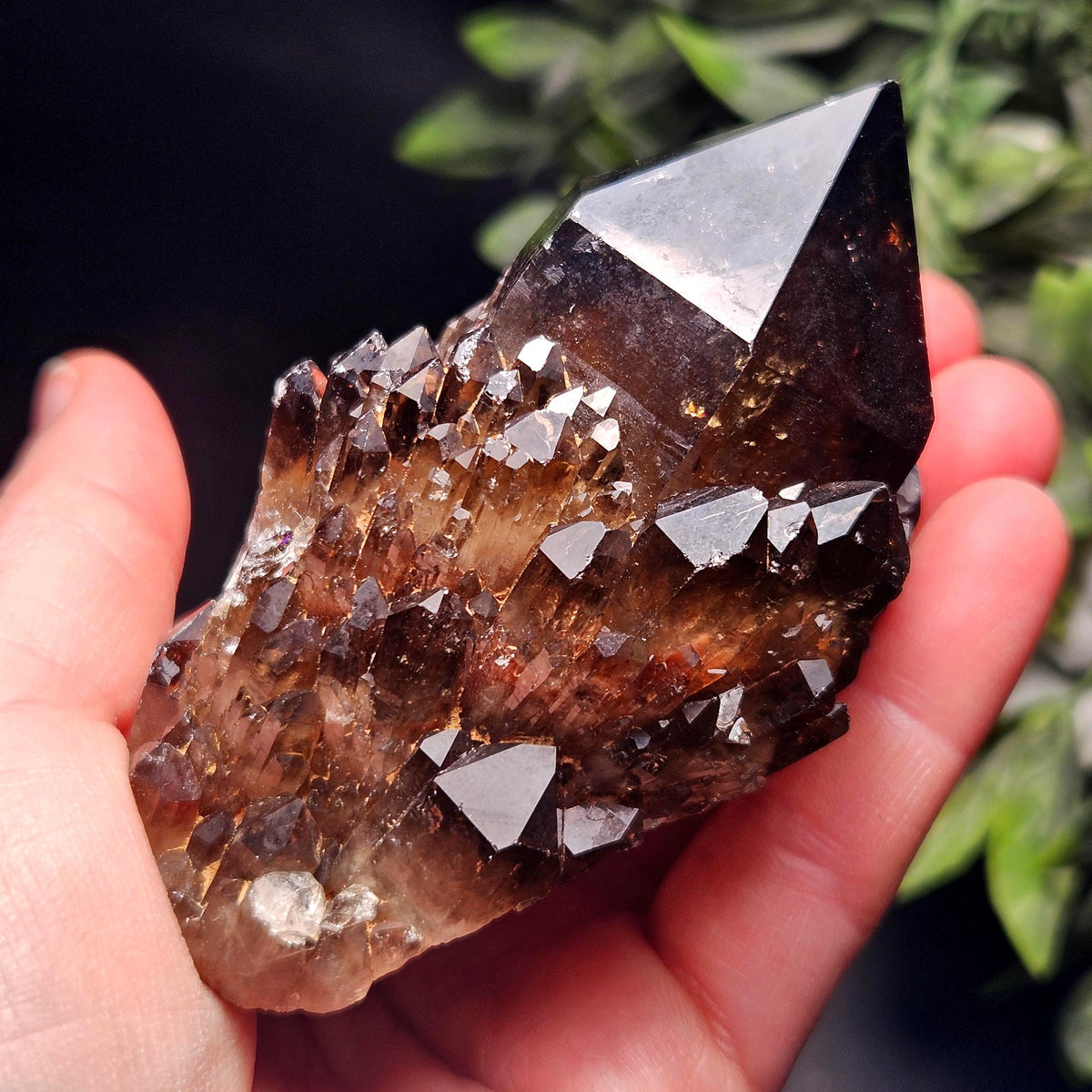 Kundalini Congo Citrine Quartz Cluster 204g, Smoky Citrine Crystal Multi