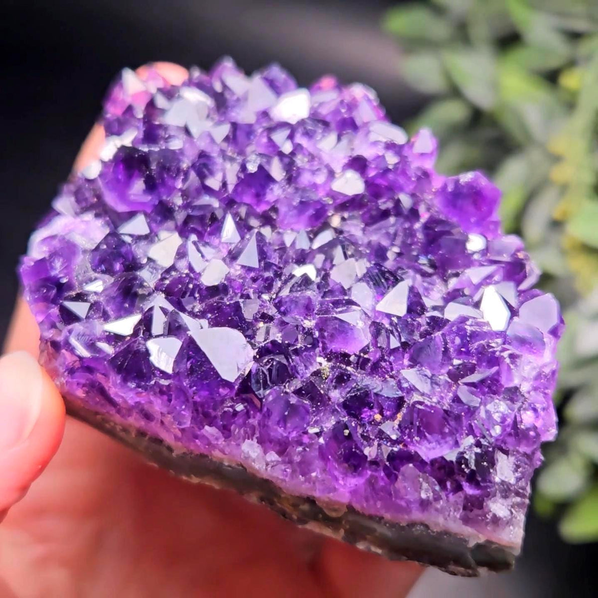 AAA Uruguay Amethyst Stalactite Cluster 218g