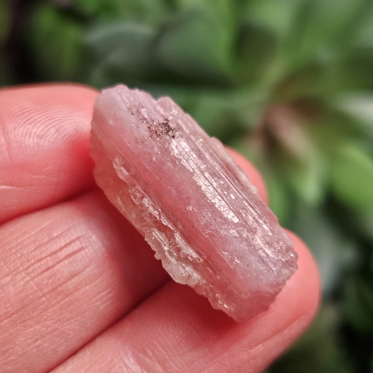 Raw Pink Tourmaline Crystal
