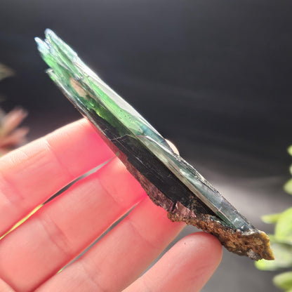 Vivianite Crystal Specimen