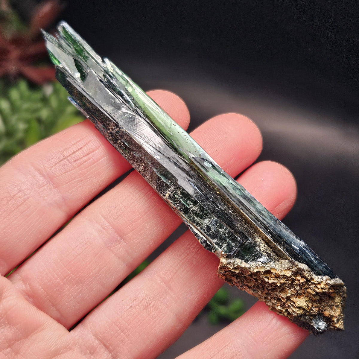Vivianite Crystal Specimen