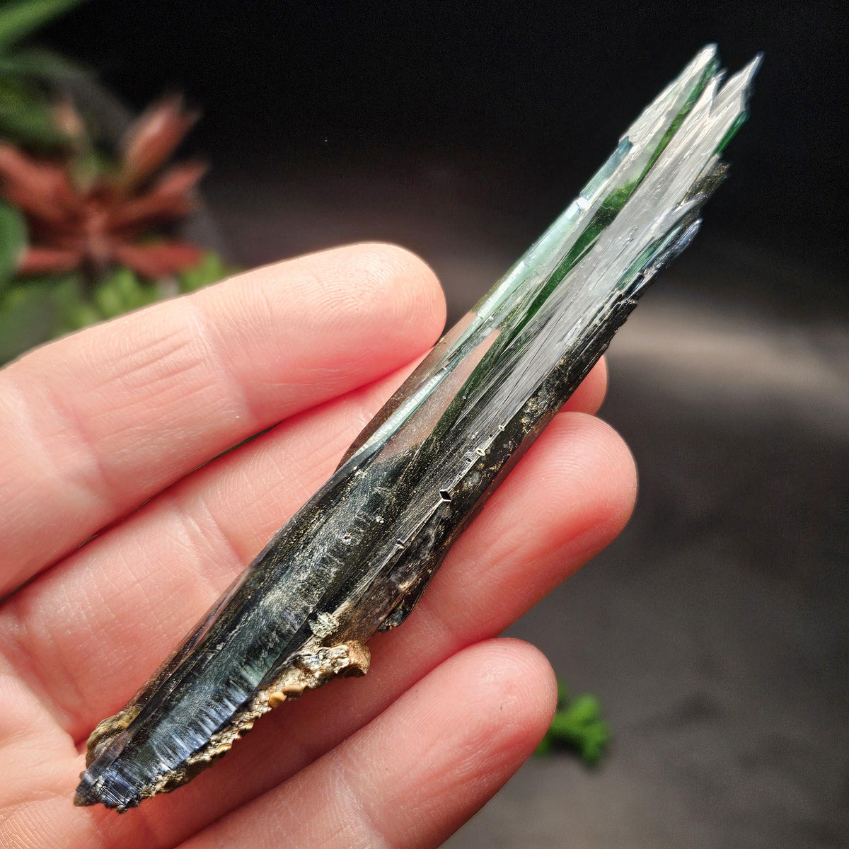 Vivianite Crystal Specimen