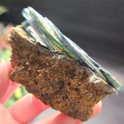 Vivianite Crystal Cluster 121.70g