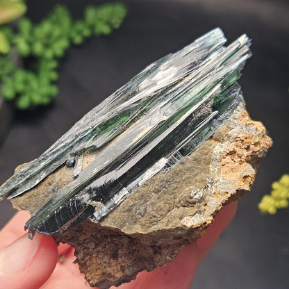 Vivianite Crystal Cluster 121.70g