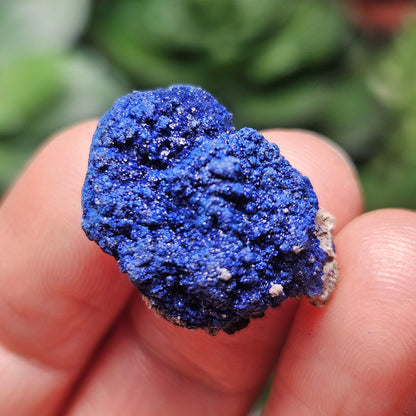 Azurite Crystal Specimen from Morocco, Druzy Terminated Blue Azurite Stone