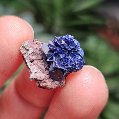 Azurite Crystal Specimen from Morocco, Druzy Terminated Blue Azurite Stone