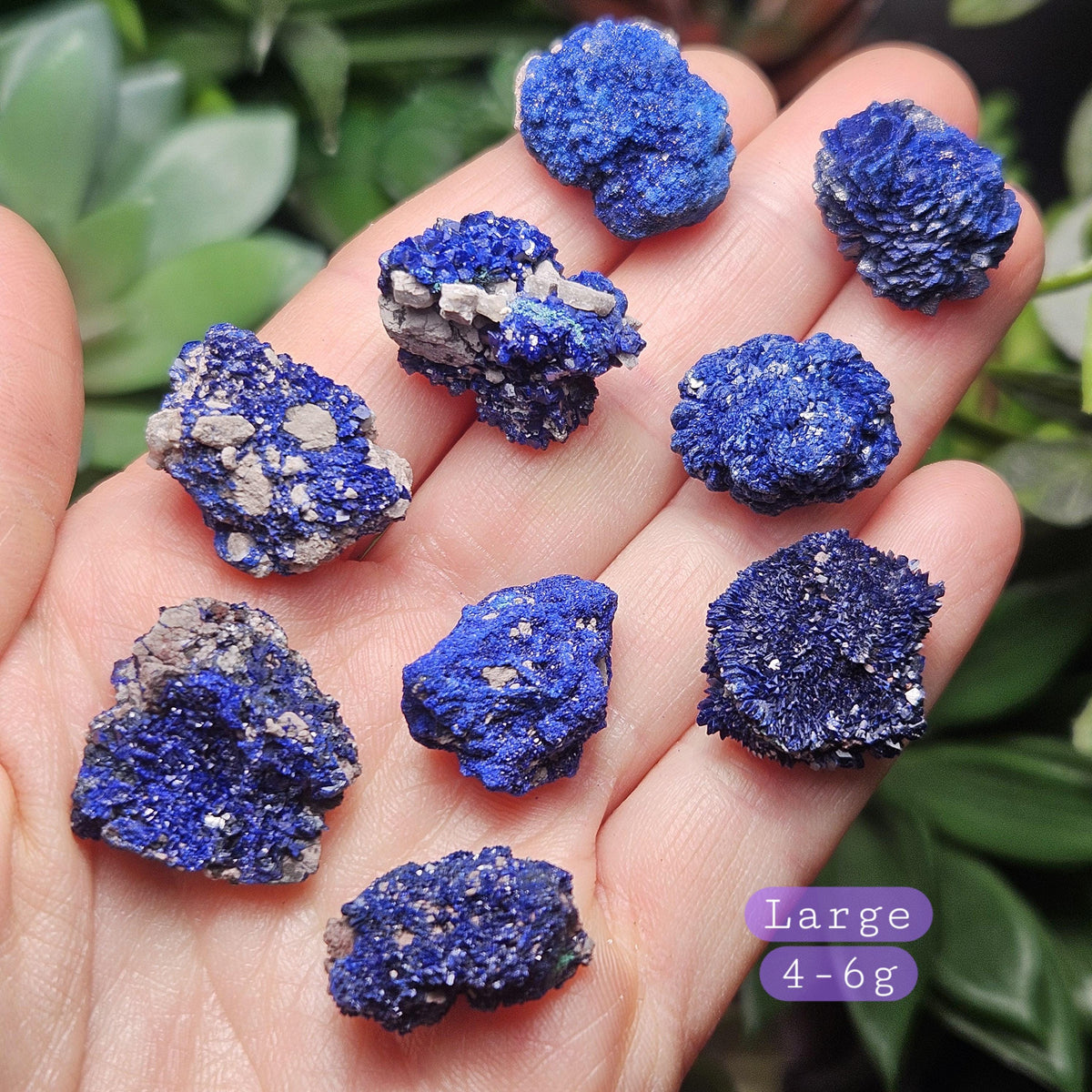 Azurite Crystal Specimen from Morocco, Druzy Terminated Blue Azurite Stone