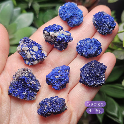 Azurite Crystal Specimen from Morocco, Druzy Terminated Blue Azurite Stone