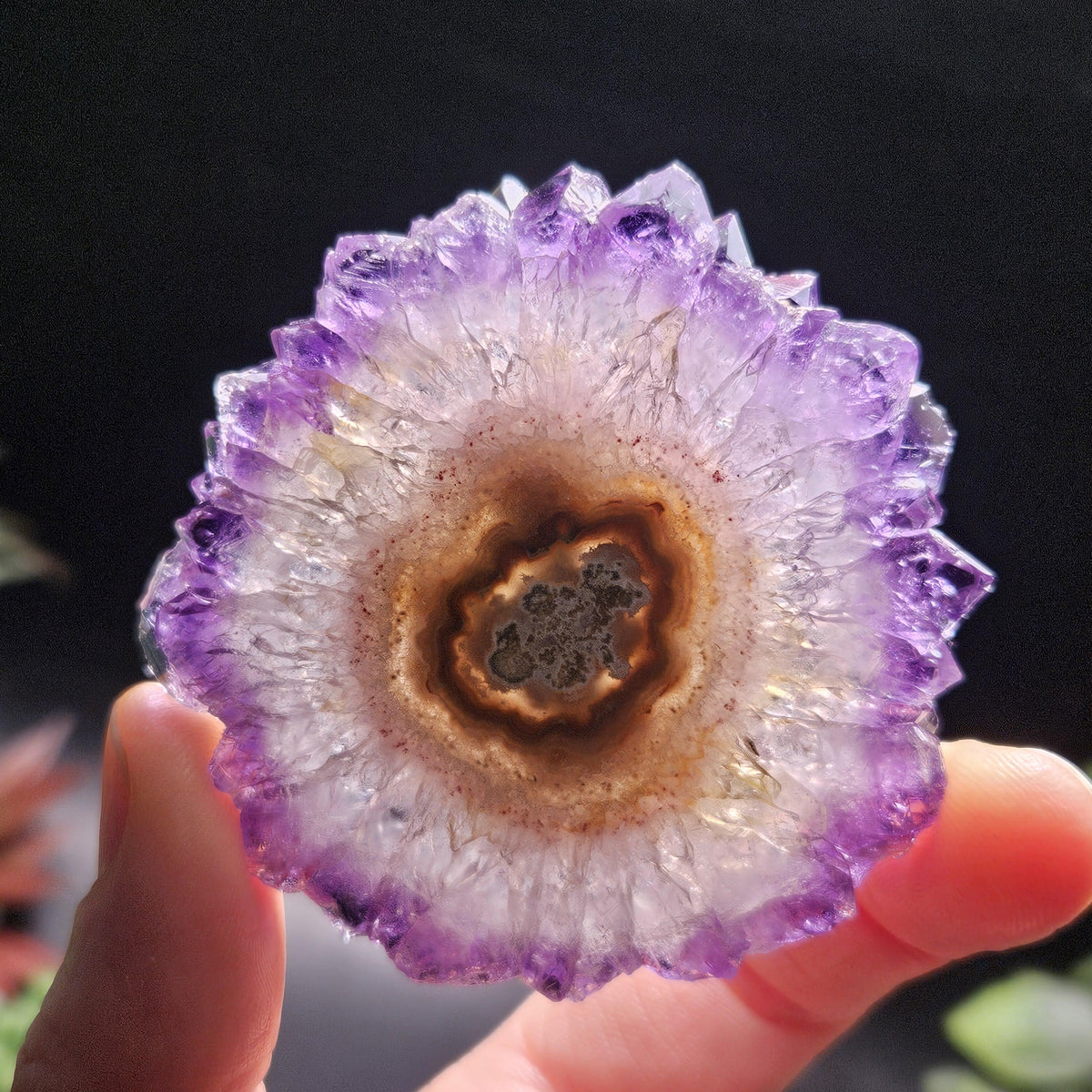 Uruguay Amethyst Stalactite Slice (55 x 55mm)
