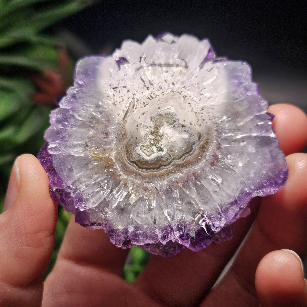 Uruguay Amethyst Stalactite Slice (55 x 55mm)