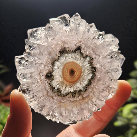Lavender Amethyst Stalactite Slice with Green Crystal Core (2.5 inches)