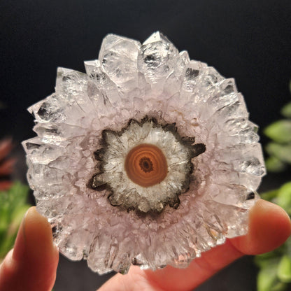 Lavender Amethyst Stalactite Slice with Green Crystal Core (2.5 inches)