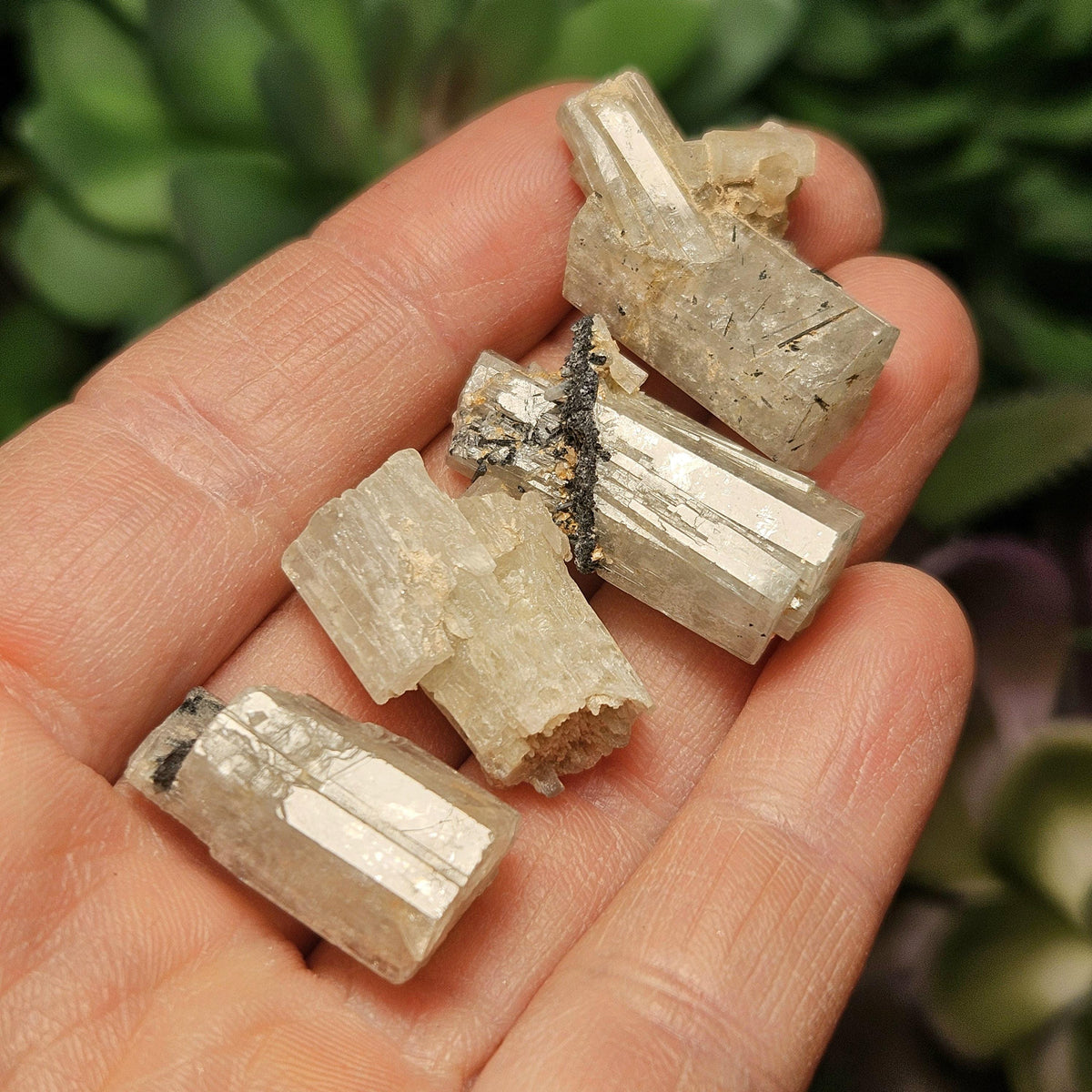 Raw Goshenite Crystal, Terminated Hexagonal Clear Aquamarine from Erongo Mountain Range, Namibia