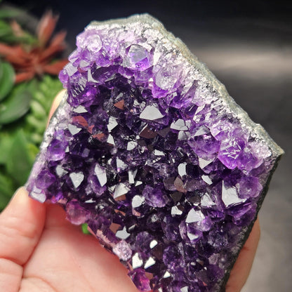 AAA Uruguay Amethyst Stalactite Cluster 226g