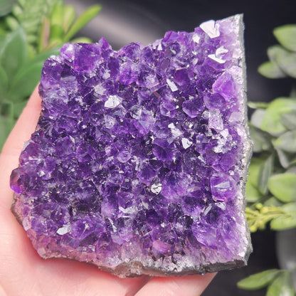 AAA Uruguay Amethyst Stalactite Cluster 226g