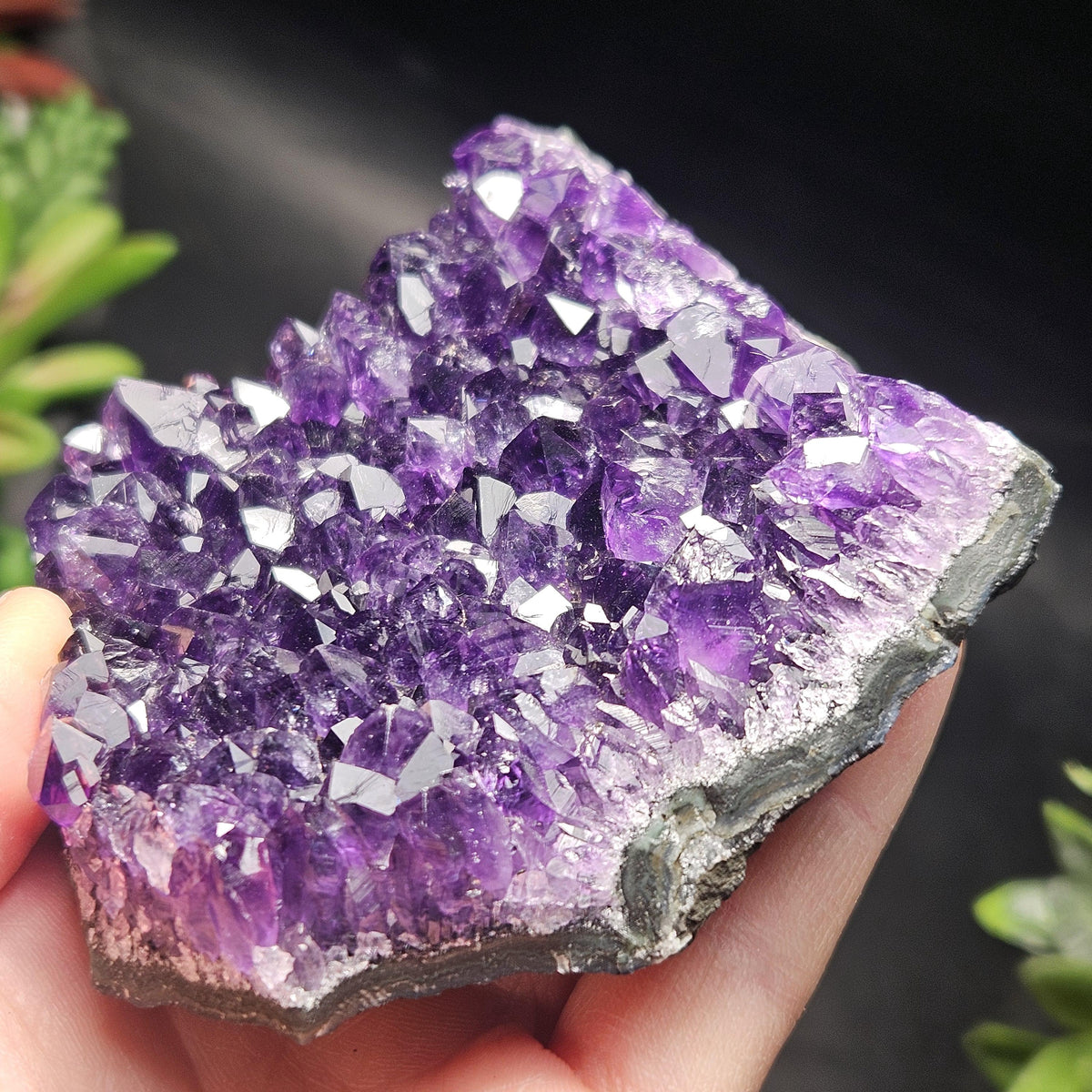 AAA Uruguay Amethyst Stalactite Cluster 226g
