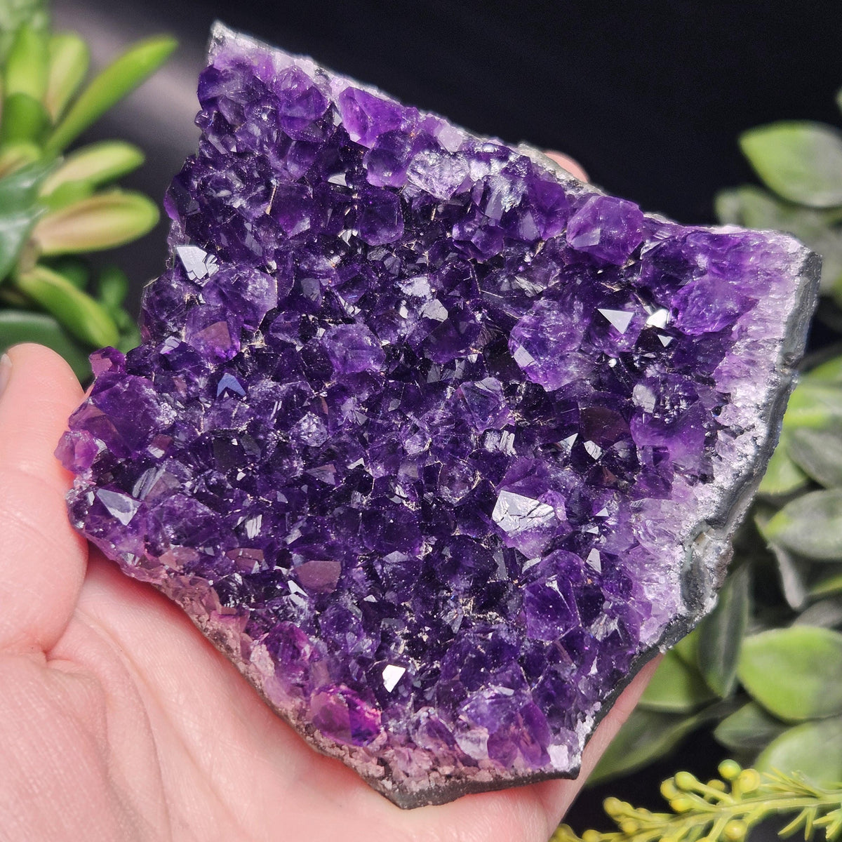 AAA Uruguay Amethyst Stalactite Cluster 226g