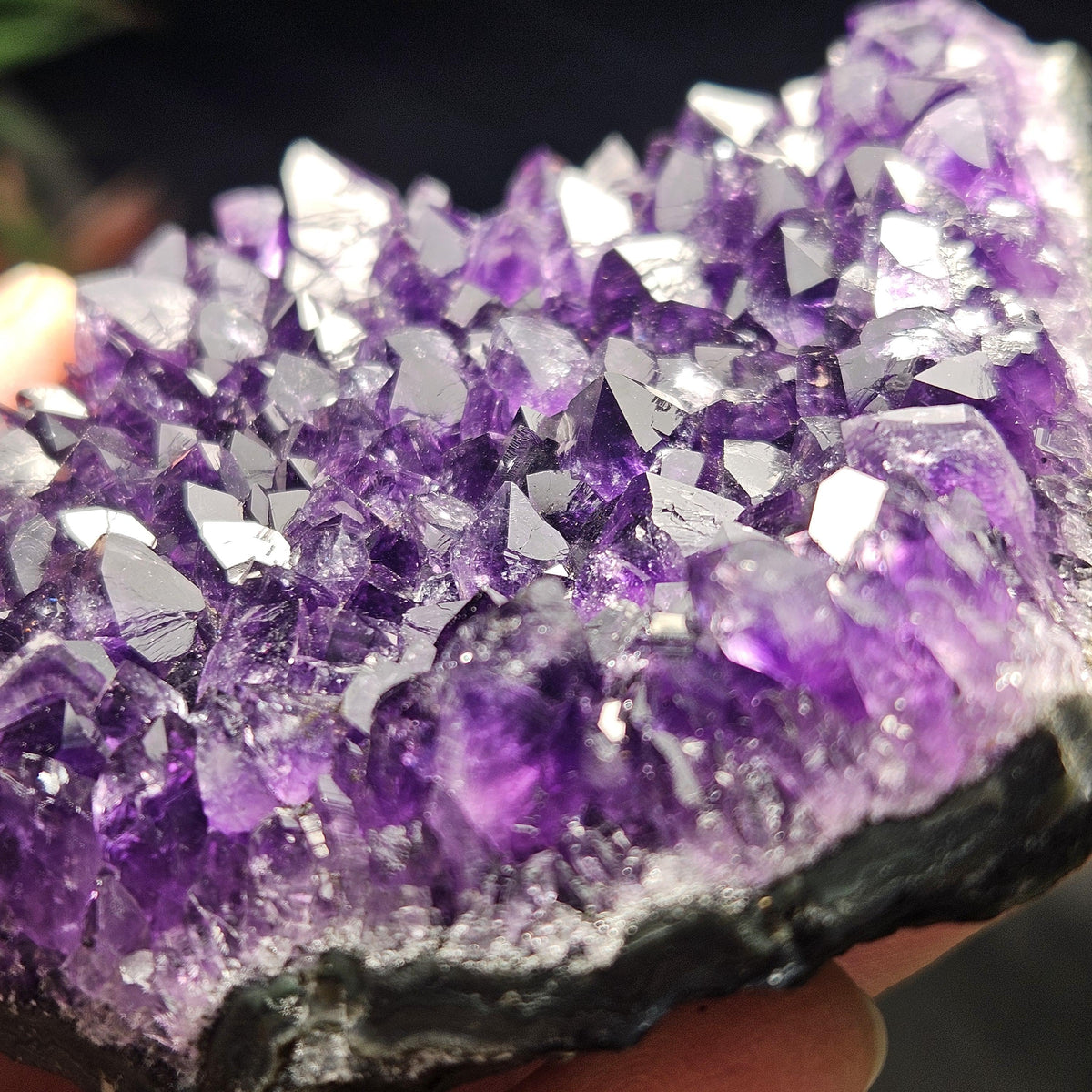 AAA Uruguay Amethyst Stalactite Cluster 226g