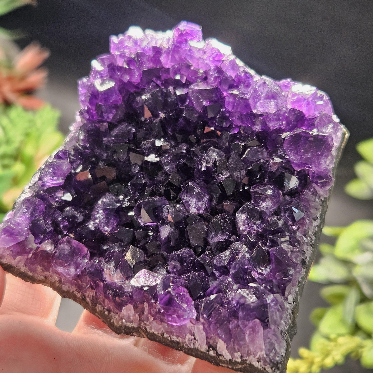 AAA Uruguay Amethyst Stalactite Cluster 226g