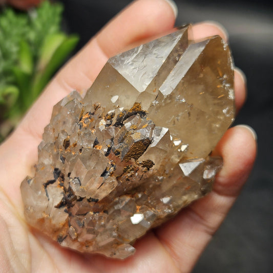 Kundalini Congo Citrine Quartz Cluster 163.76g, Smoky Citrine Crystal Multi