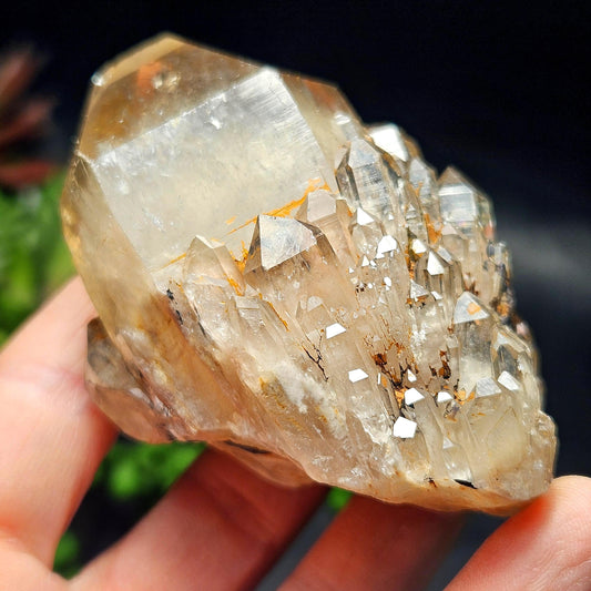 Kundalini Congo Citrine Quartz Cluster 163.76g, Smoky Citrine Crystal Multi