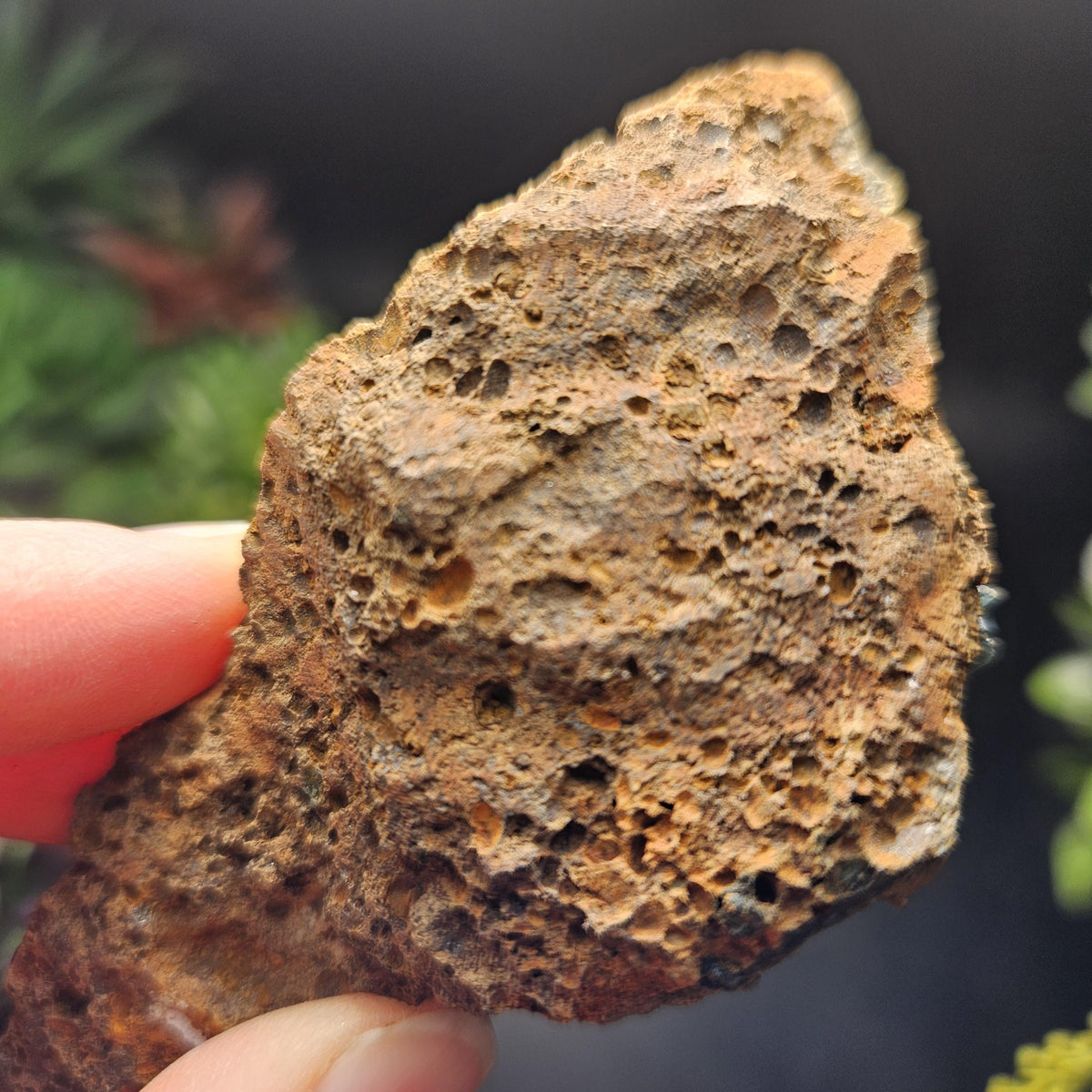 Vivianite Dragon Scale Crystal Specimen 92.41g