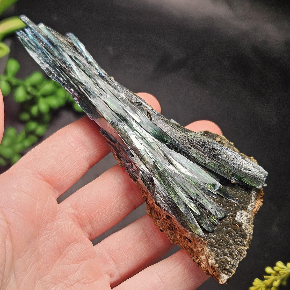 Vivianite Dragon Scale Crystal Specimen 92.41g