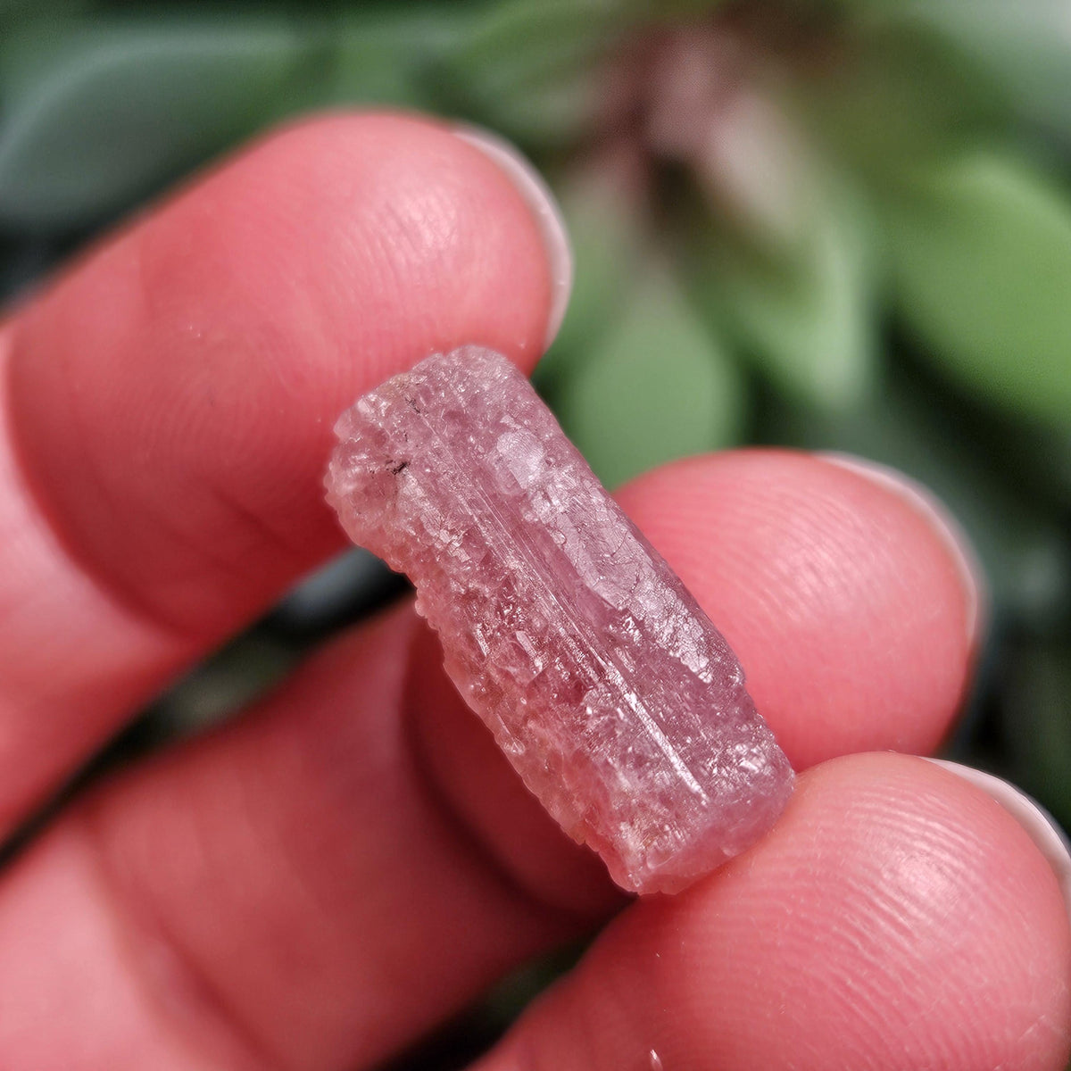 Raw Pink Tourmaline Crystal