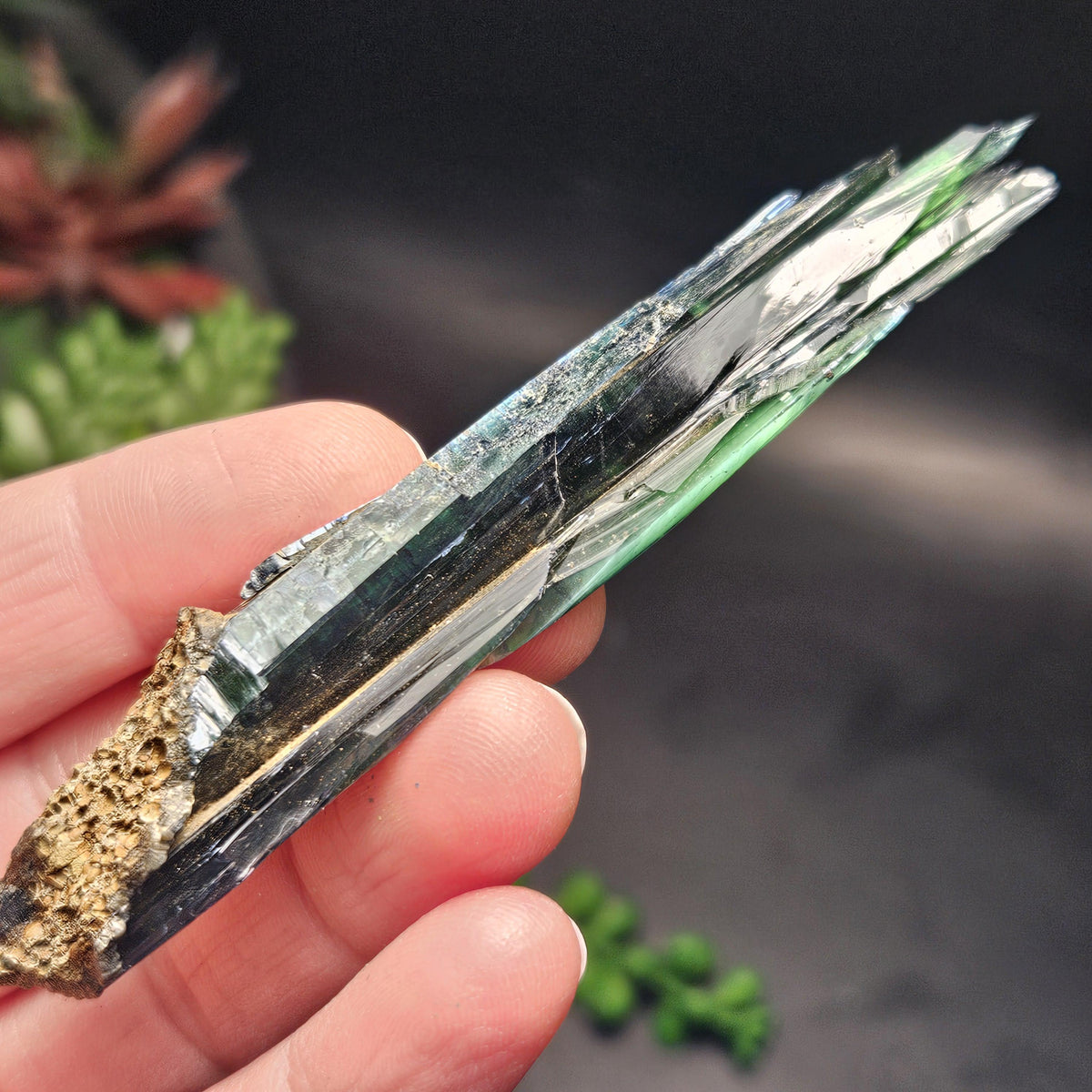 Vivianite Crystal Specimen
