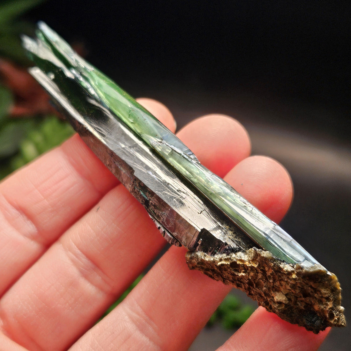 Vivianite Crystal Specimen