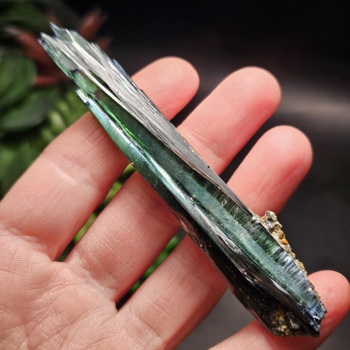 Vivianite Crystal Specimen